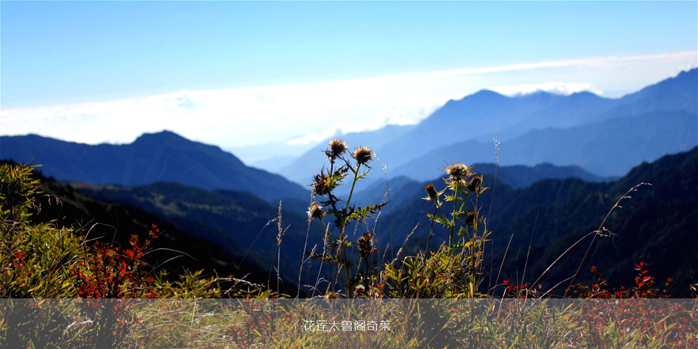 香港118现场直播站